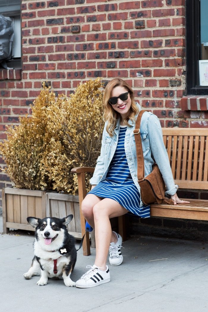 Christine Cameron in a striped dress by Forever 21 and a just fab bag with Elvis the corgy Krystal Bicks dog4