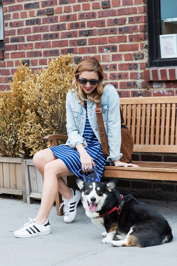 Christine Cameron in a striped dress by Forever 21 and a just fab bag with Elvis the corgy Krystal Bicks dog5