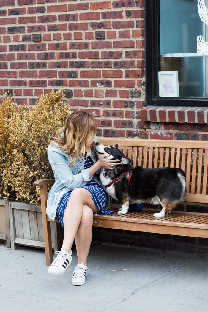 Christine Cameron in a striped dress by Forever 21 and a just fab bag with Elvis the corgy Krystal Bicks dog6